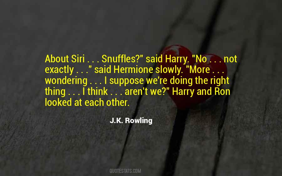 Quotes About Harry And Hermione #1811268