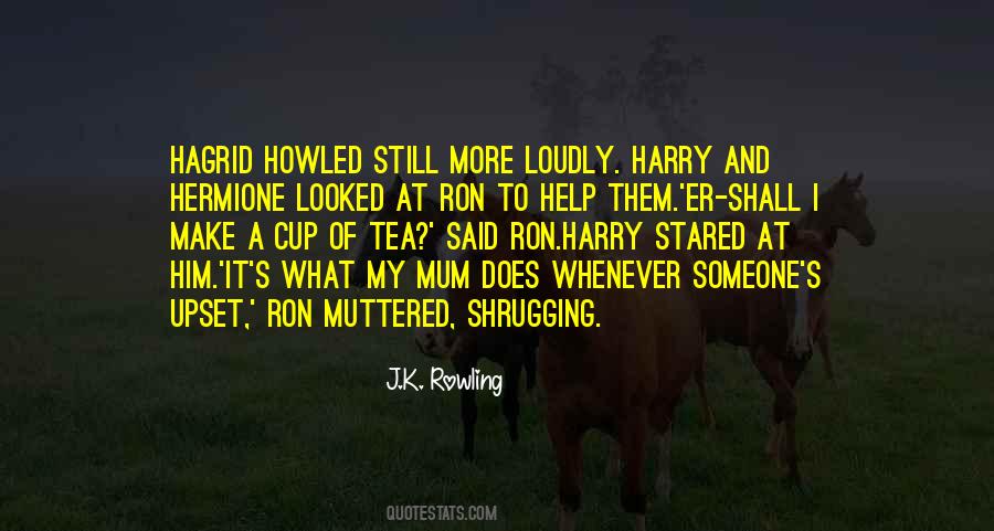 Quotes About Harry And Hermione #187794