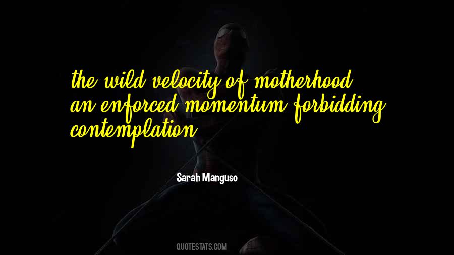 Quotes About Velocity #431586