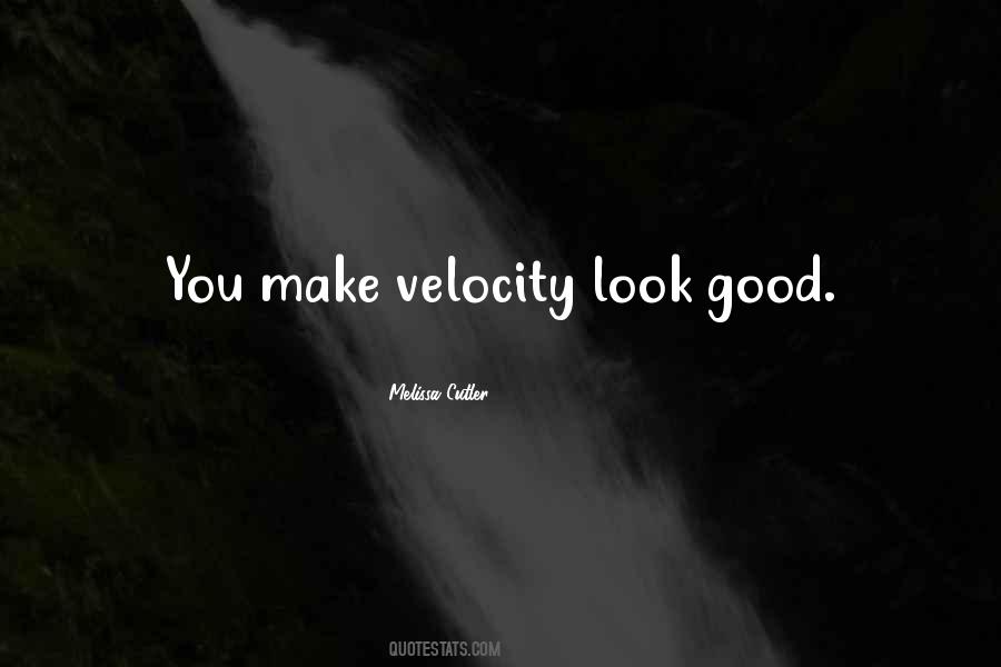 Quotes About Velocity #769837