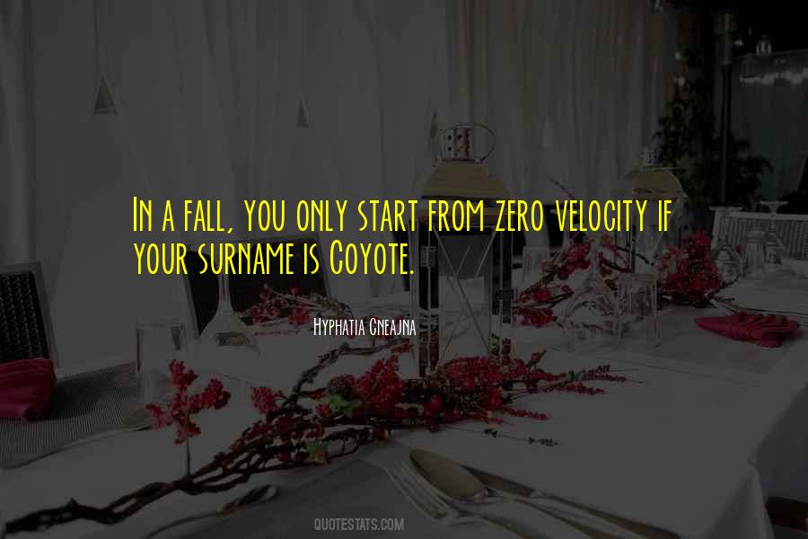 Quotes About Velocity #846420