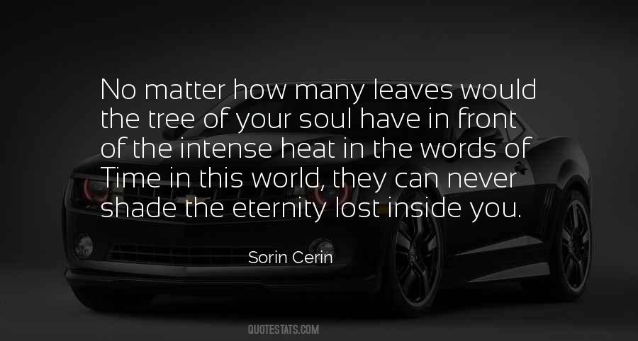 Quotes About Soul Eternity #497504