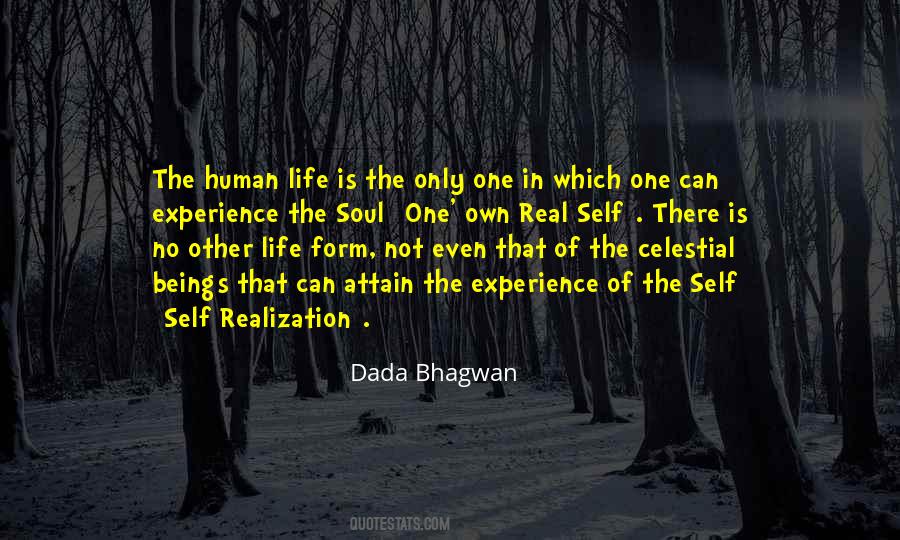 Spiritual Realization Quotes #808272