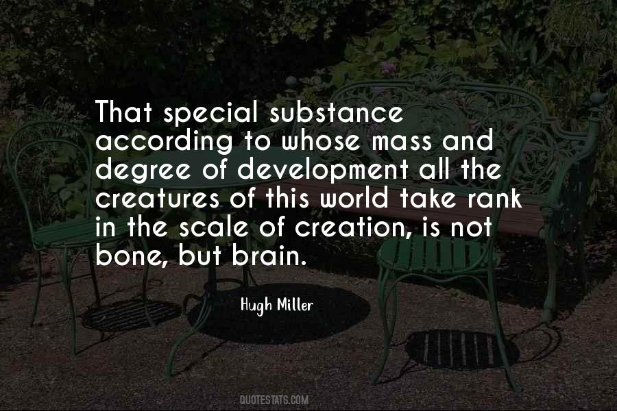 Special Creation Quotes #127918