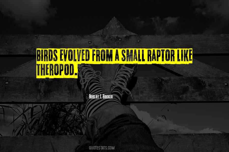 Small Birds Quotes #1494429
