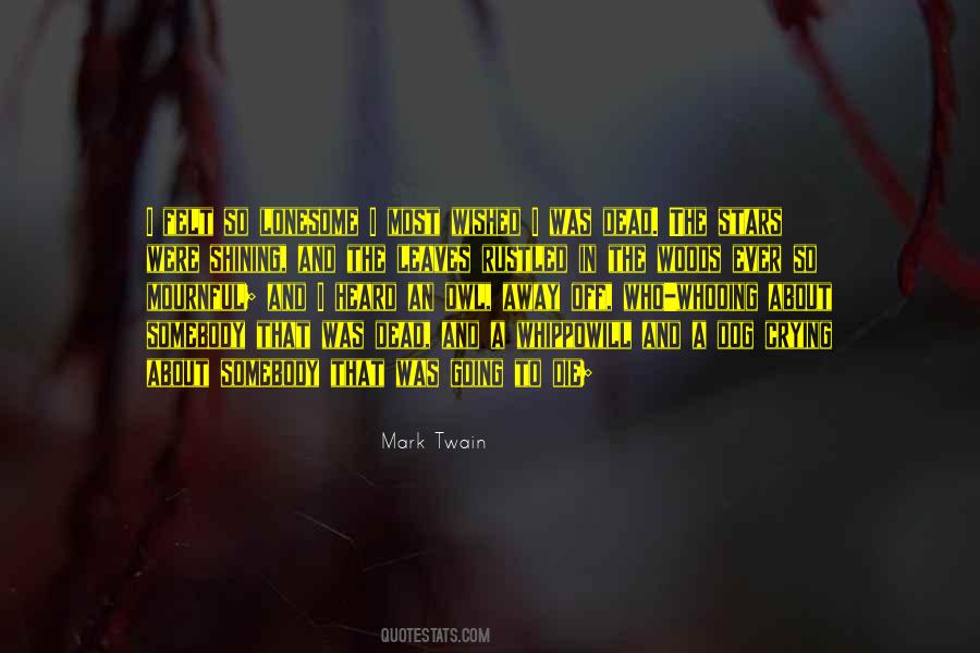 Wished Away Quotes #853981