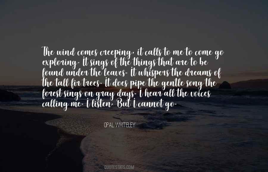 Quotes About Exploring New Things #1849216