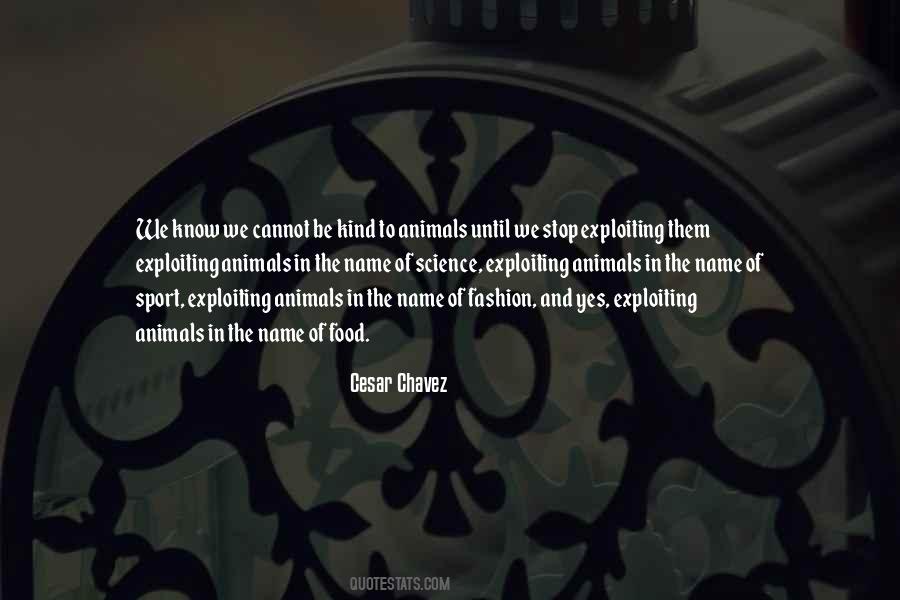 Quotes About Programmatic #164798
