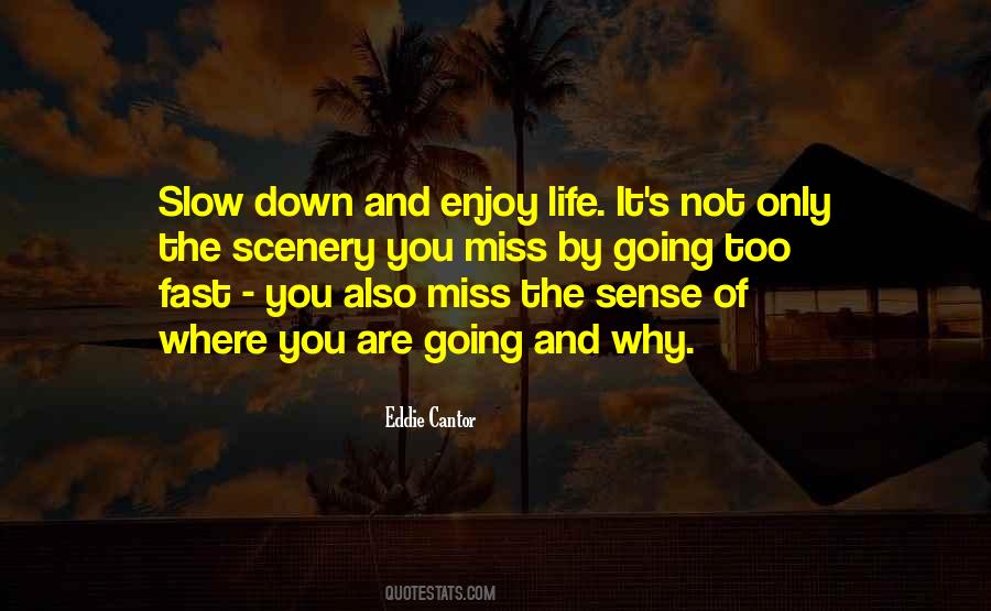 Quotes About Slow Down And Enjoy Life #206461
