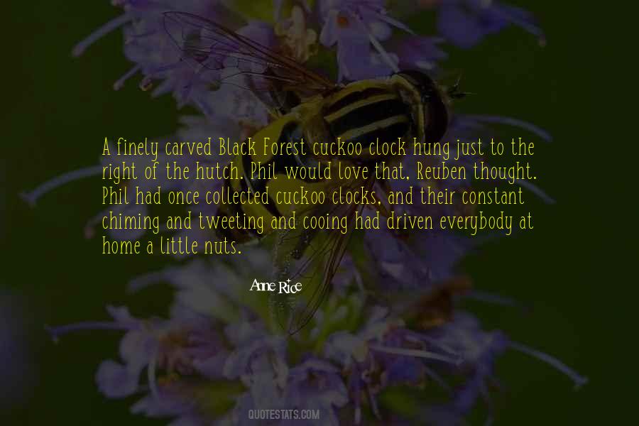 Right Love Quotes #38398