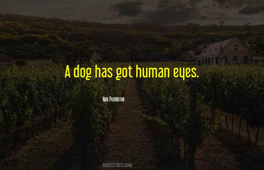Human Eyes Quotes #1602516