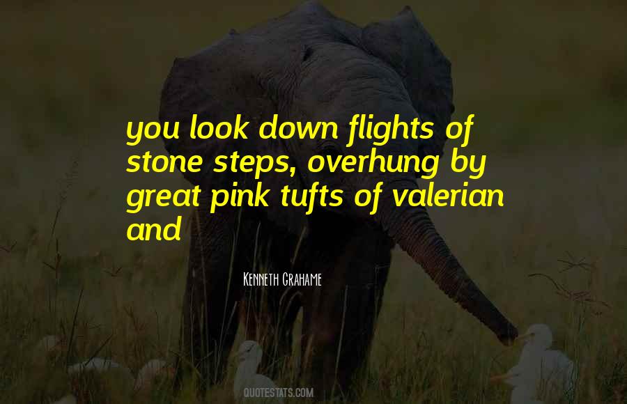 Quotes About Flights #493226