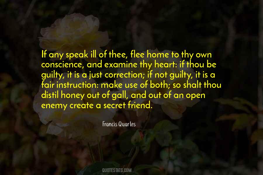 Quotes About A Secret Friend #1517231