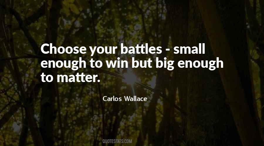 Quotes About Battles Of Life #520715
