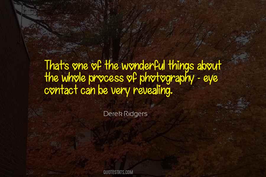 Quotes About Wonderful Things #1204900
