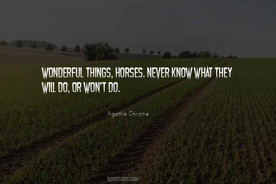 Quotes About Wonderful Things #1350657