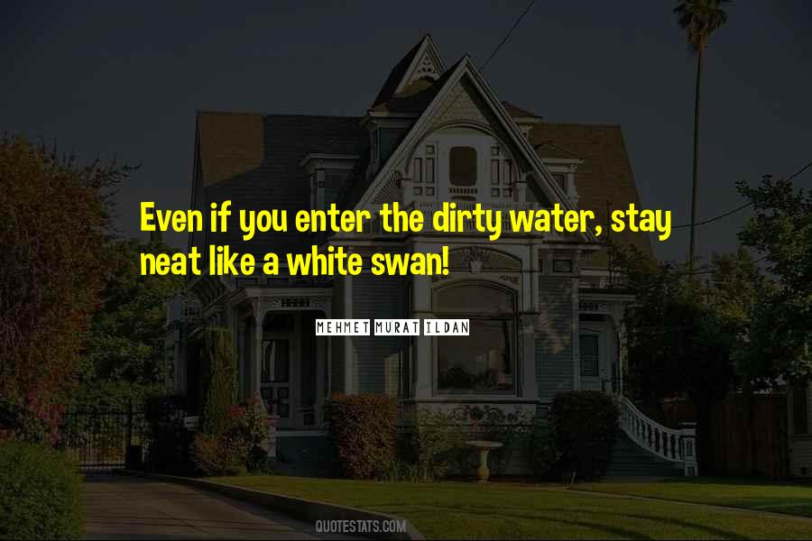 Quotes About White Swan #422566