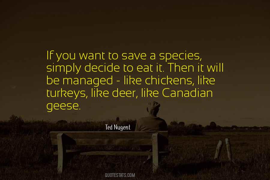 Quotes About Chickens #1174798