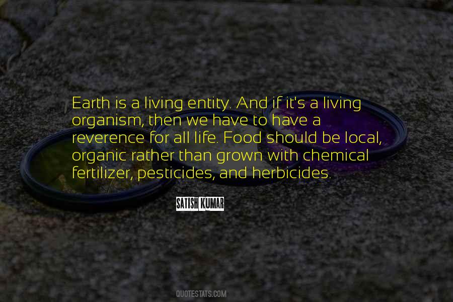 Life Food Quotes #1369101