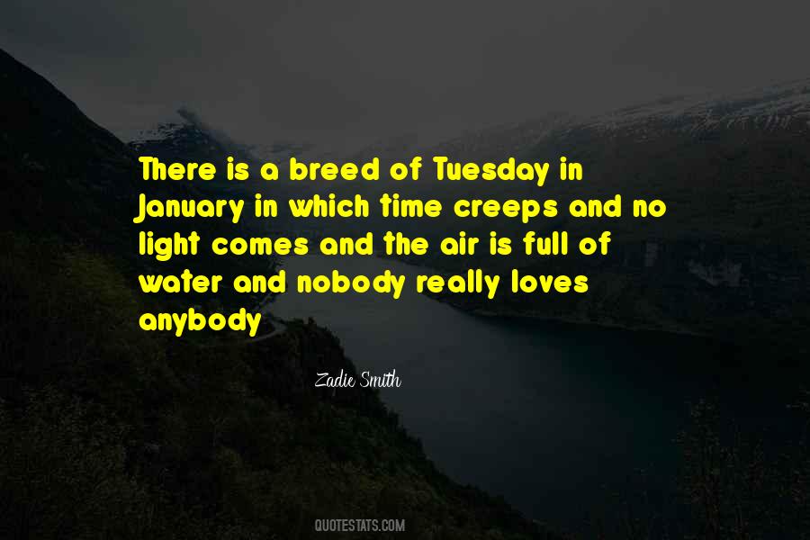 Full Of Light Quotes #29710