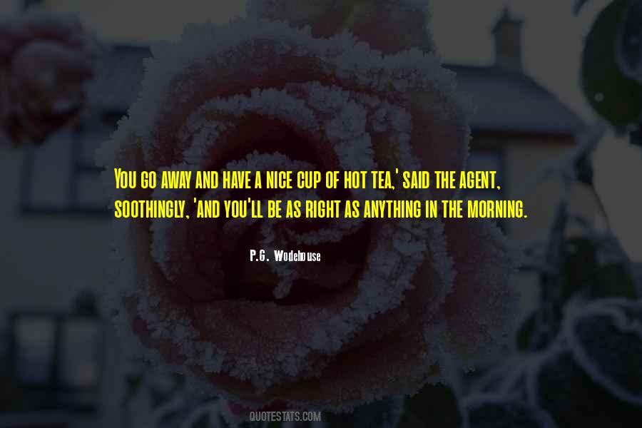 Quotes About A Nice Cup Of Tea #102747