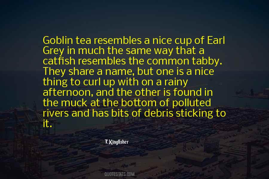 Quotes About A Nice Cup Of Tea #1232375