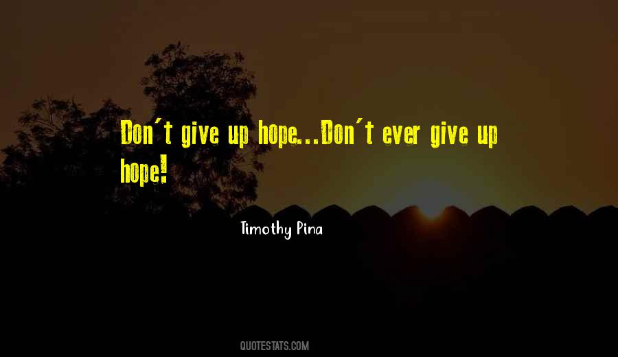 Quotes About Don't Give Up #880124