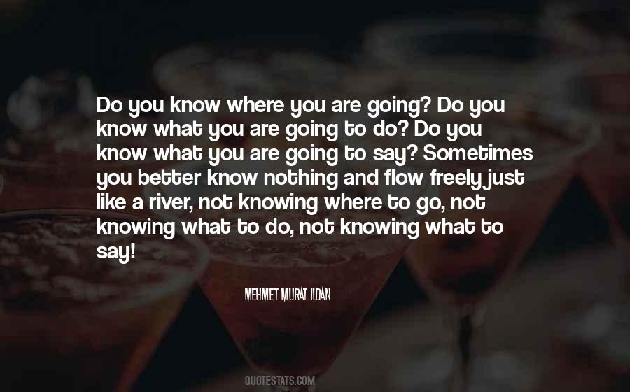 Knowing What You Know Quotes #522038