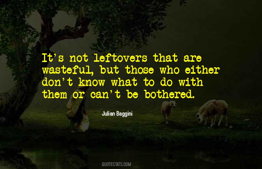 Quotes About Ex Leftovers #38156
