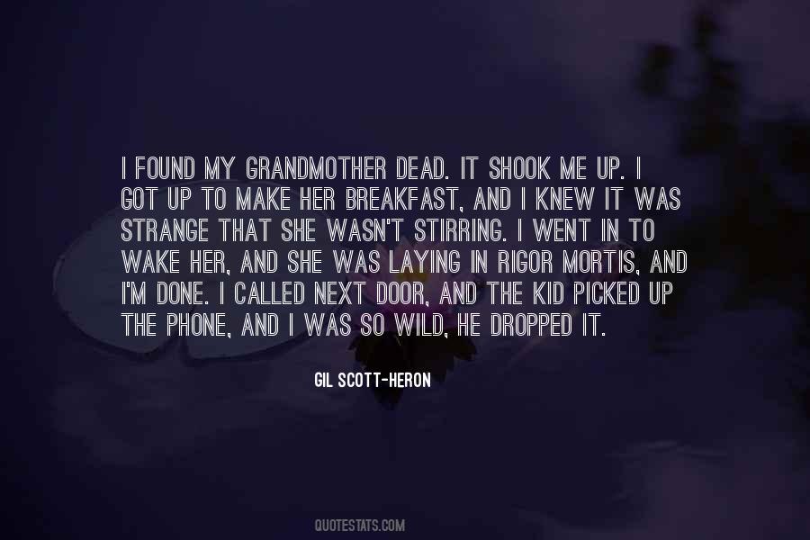 Dead Grandmother Quotes #820117