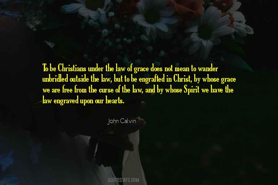 Spirit Of The Law Quotes #208661