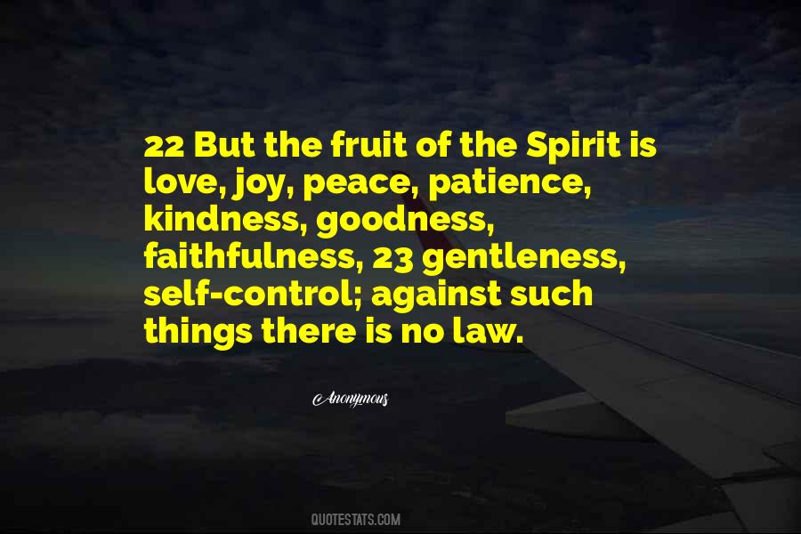 Spirit Of The Law Quotes #630829