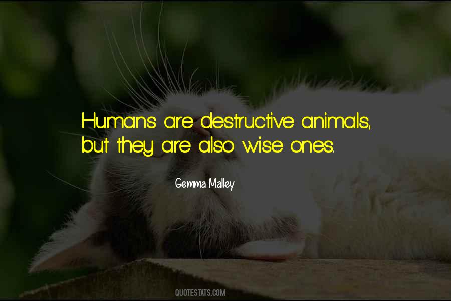 Are Humans Animals Quotes #550526