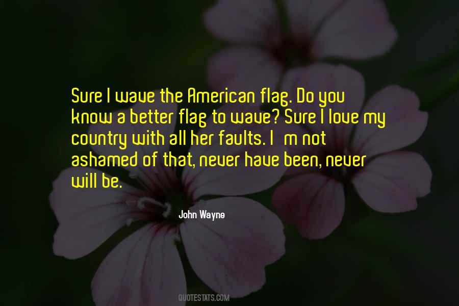 Quotes About American Flag #269207