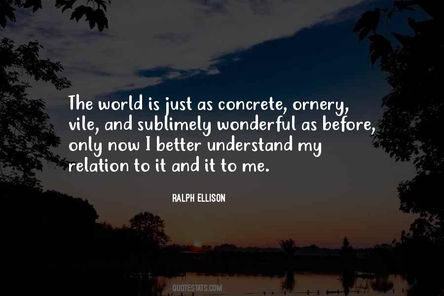Understand It Better Quotes #212637