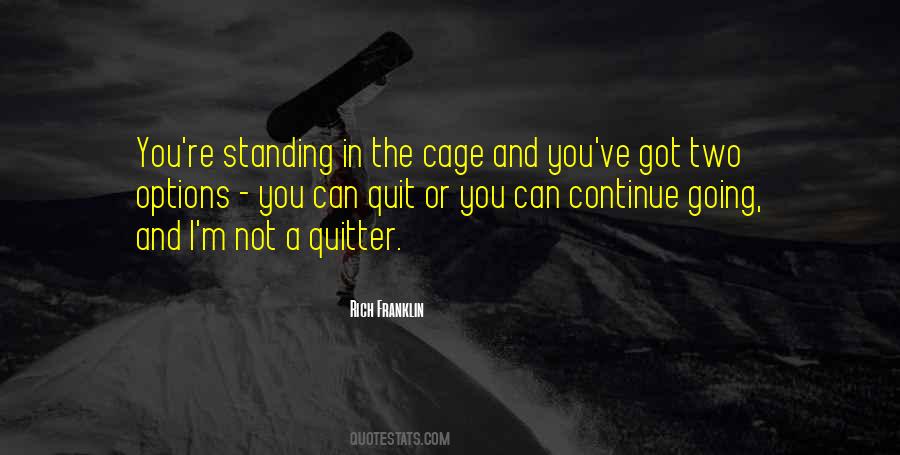 Quotes About Not Quitting #1360725