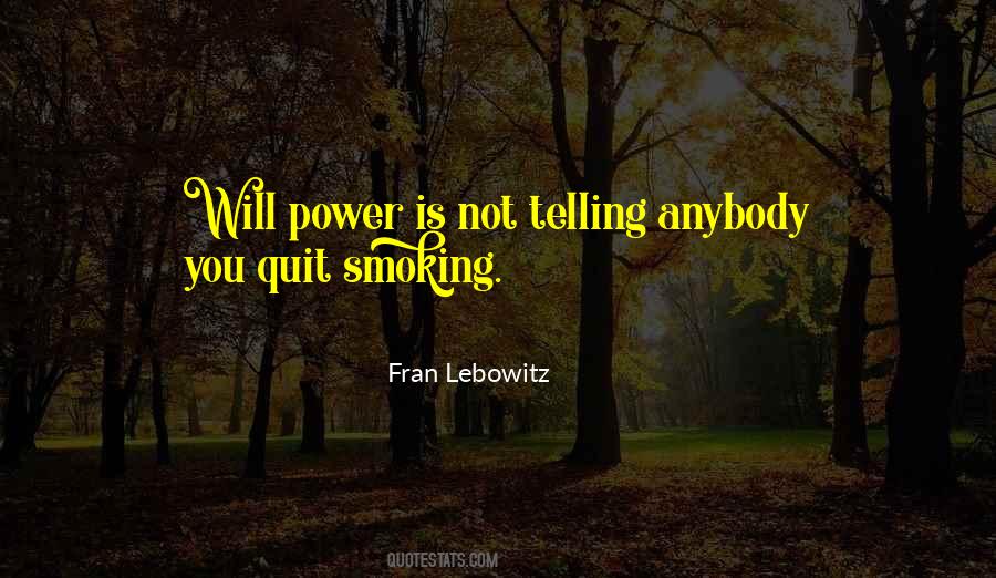 Quotes About Not Quitting #138063