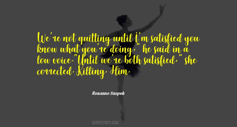 Quotes About Not Quitting #18693