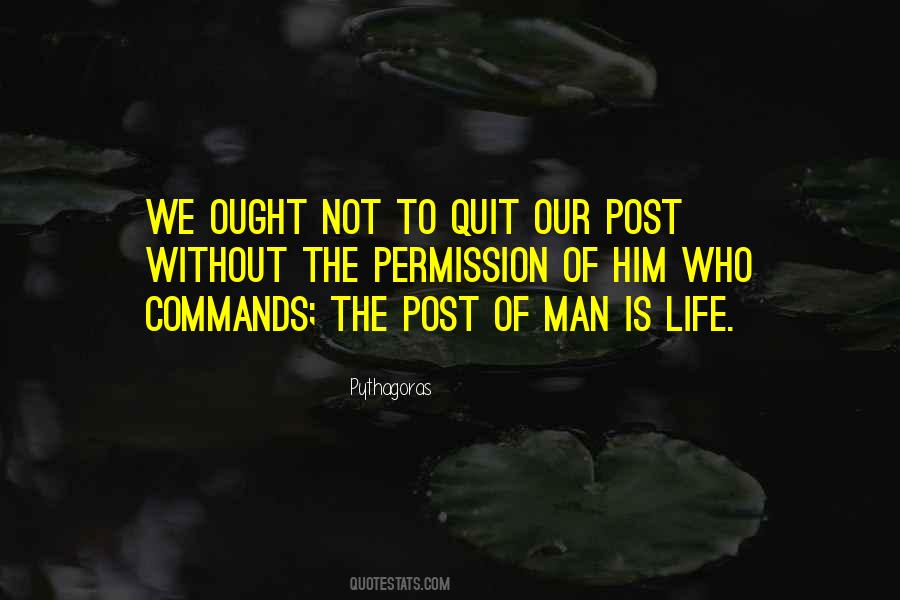 Quotes About Not Quitting #563661