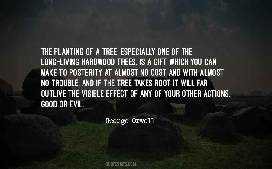 Quotes About Planting A Tree #918917