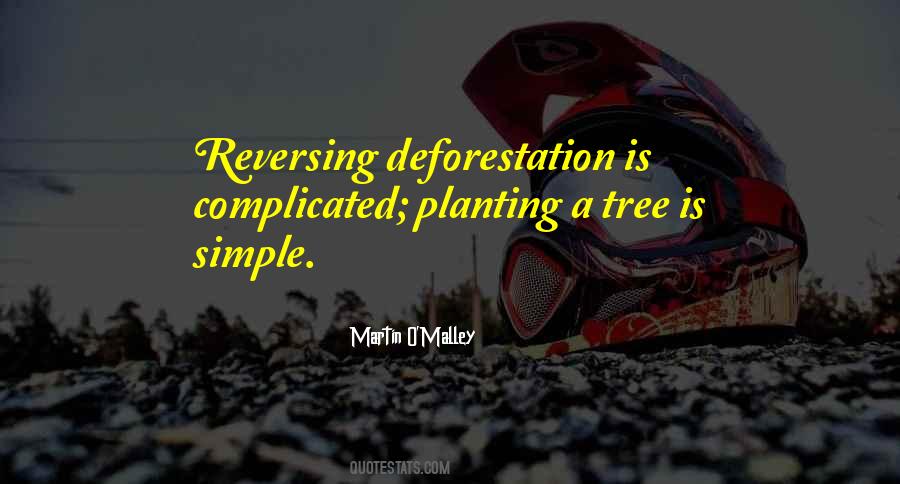Quotes About Planting A Tree #952908
