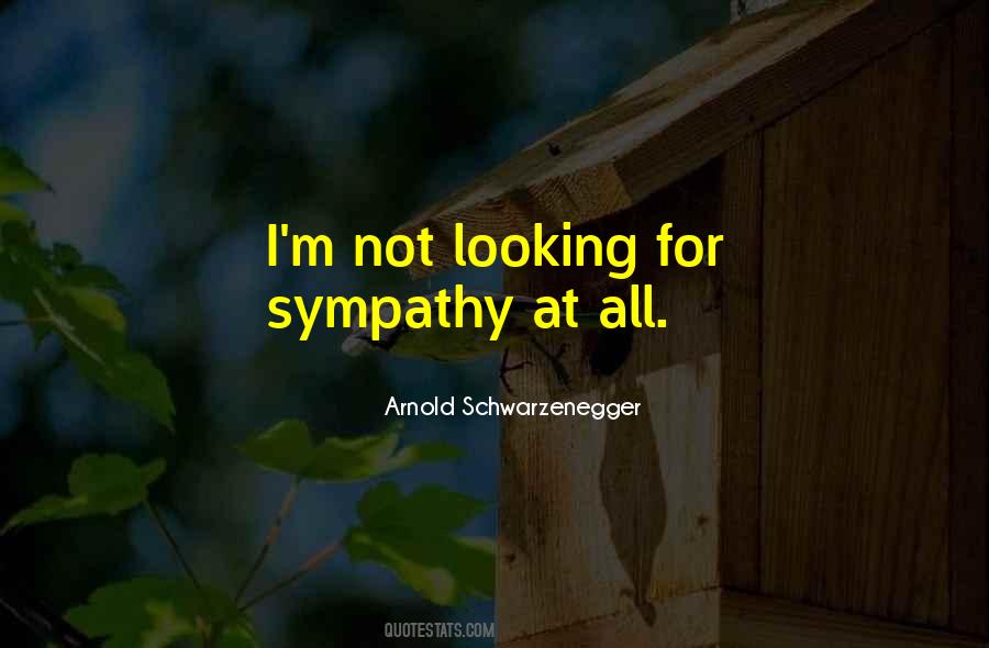 Quotes About Looking For Sympathy #766762