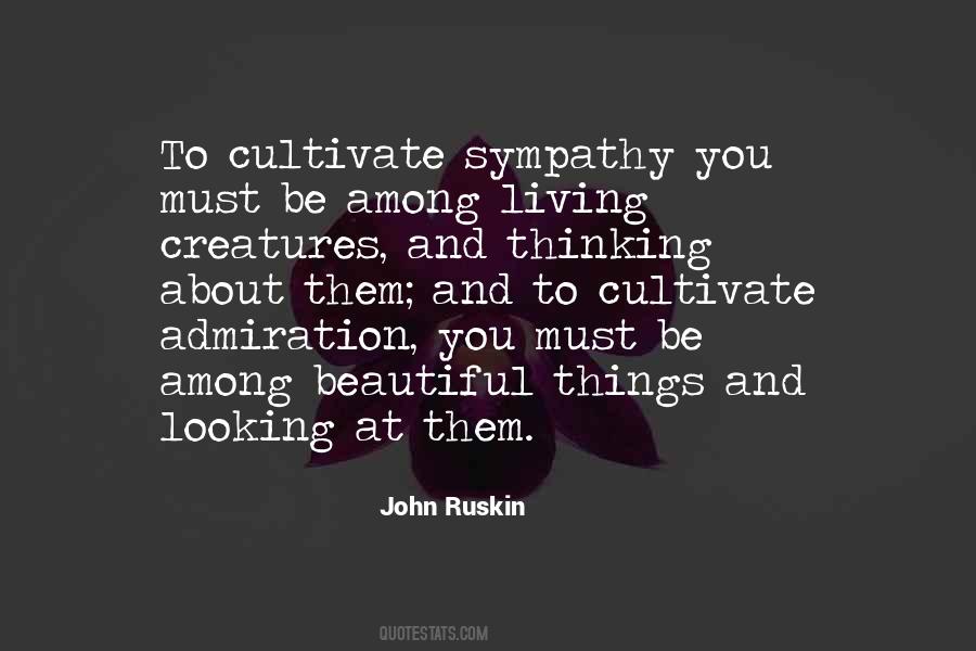 Quotes About Looking For Sympathy #864389