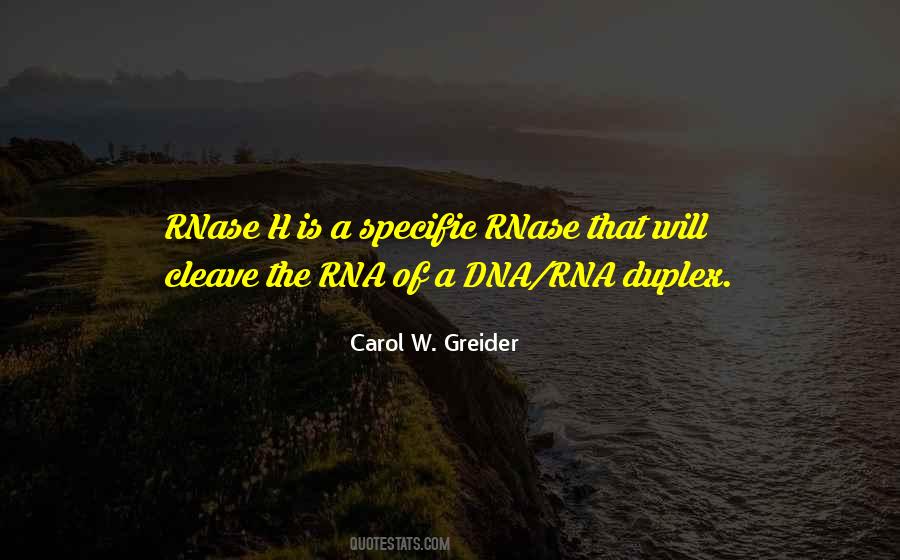 Quotes About Rna #1744098