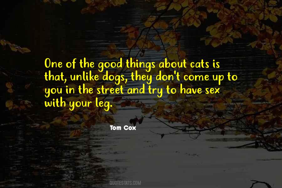 Quotes About Dogs And Cats #963188