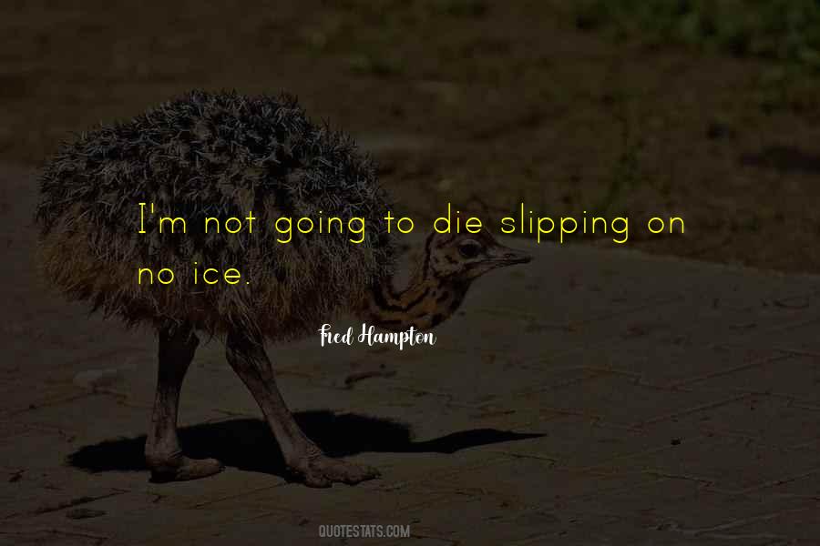 Quotes About Slipping On Ice #1802448