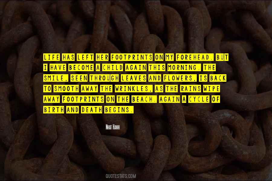 Quotes About Beauty And Death #529123