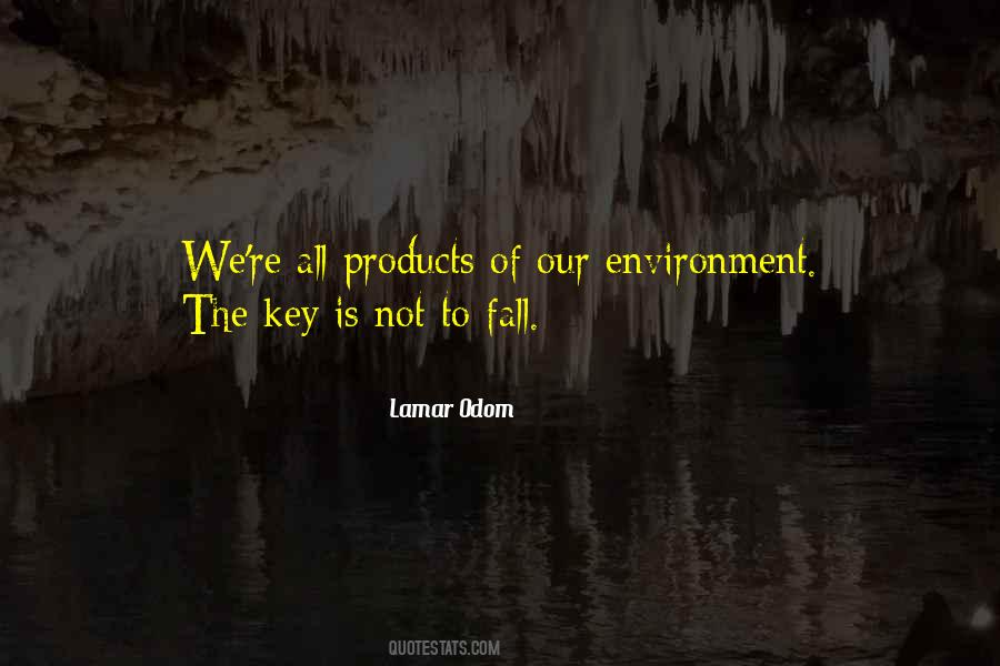 Quotes About Products Of Our Environment #4320