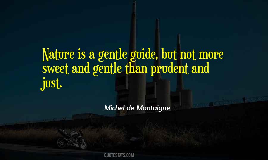 De Montaigne Quotes #164617