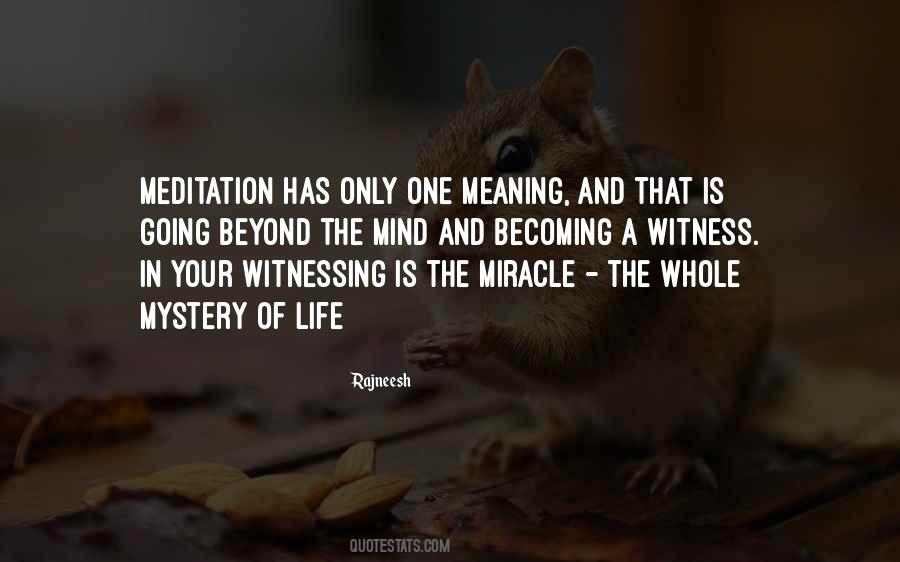 Quotes About Mystery Of Life #90664